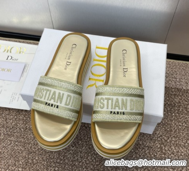Stylish Dior Dway Striped Platform Slides Sandal 4cm in Embroidered Cotton Gold-Tone 0425070