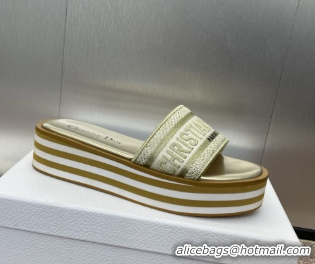 Stylish Dior Dway Striped Platform Slides Sandal 4cm in Embroidered Cotton Gold-Tone 0425070