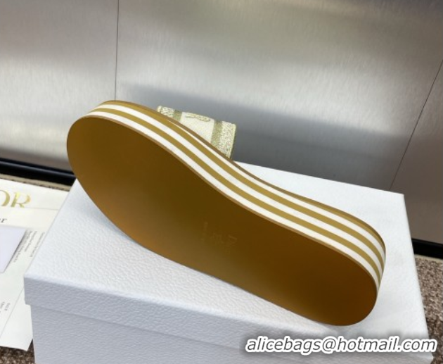 Stylish Dior Dway Striped Platform Slides Sandal 4cm in Embroidered Cotton Gold-Tone 0425070