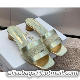 Shop Cheap Dior Dway Heel Slides Sandal 4.5cm in Calfskin and Embroidered Cotton Gold-Tone 0425104