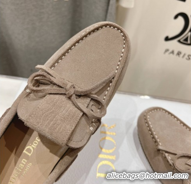 Luxurious Dior Miss Dior Street Loafers in Suede Grey 0425124