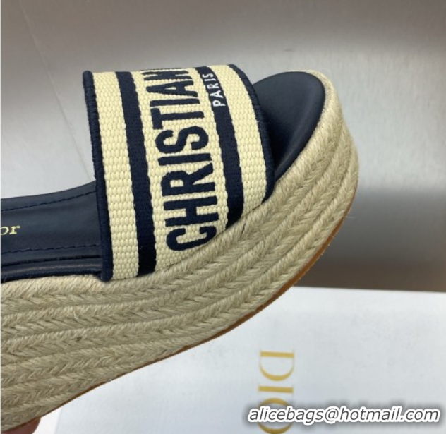 Good Looking Dior Dway Wedge Sandals 10cm in Calfskin, Raffia Straw and Embroidered Cotton Beige/Blue 0605022