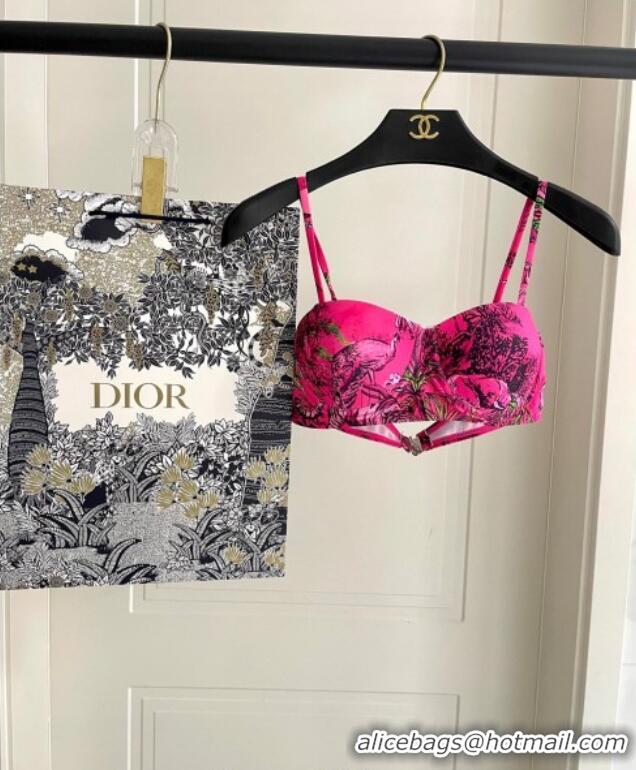 ​Affordable Price Dior Two-Pieces Swimwear 0616 Dark Pink 2025