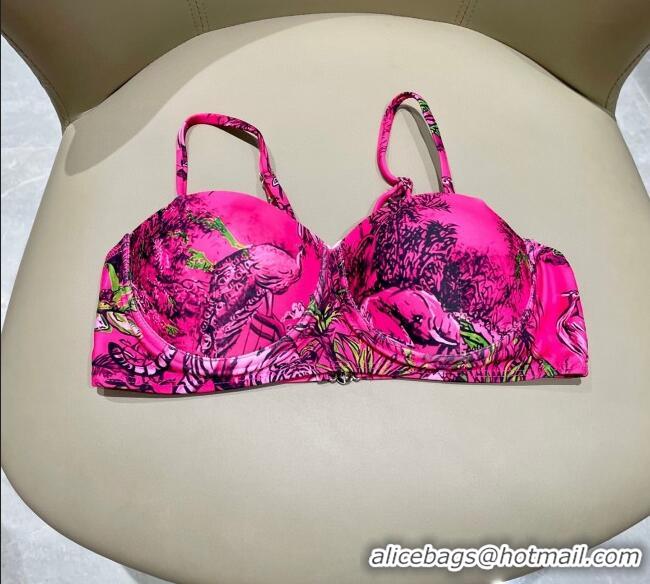 ​Affordable Price Dior Two-Pieces Swimwear 0616 Dark Pink 2025