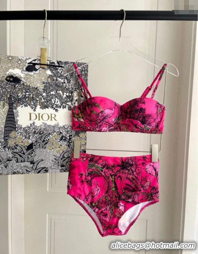​Affordable Price Dior Two-Pieces Swimwear 0616 Dark Pink 2025