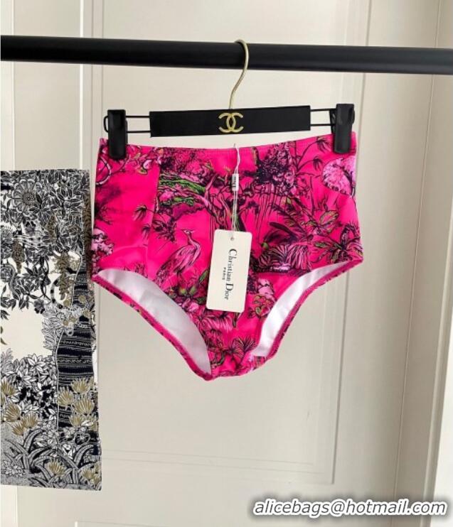 ​Affordable Price Dior Two-Pieces Swimwear 0616 Dark Pink 2025