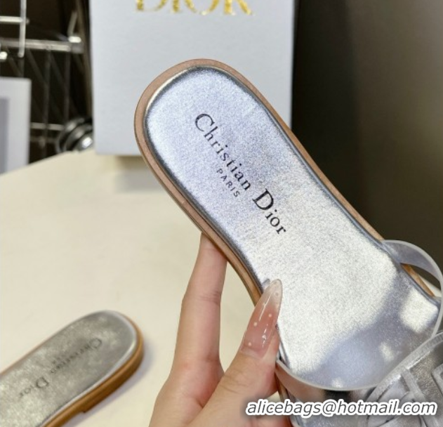 Purchase Dior D-Club Flat Slides Sandal in Calfskin Leather Silver 0605049