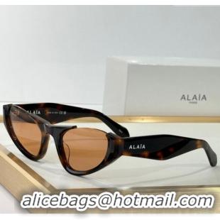 Pretty Style Alaia Sunglasses AA0076S Brown 2025