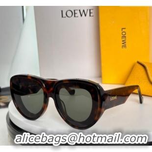 Luxury Classic Loewe Sunglasses LW40170U 2025