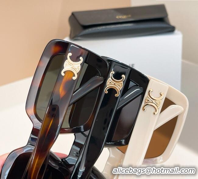 Good Taste Celine Sunglasses CL40304U Black 2025