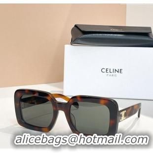 Super Quality Celine Sunglasses CL40304U Brown 2025