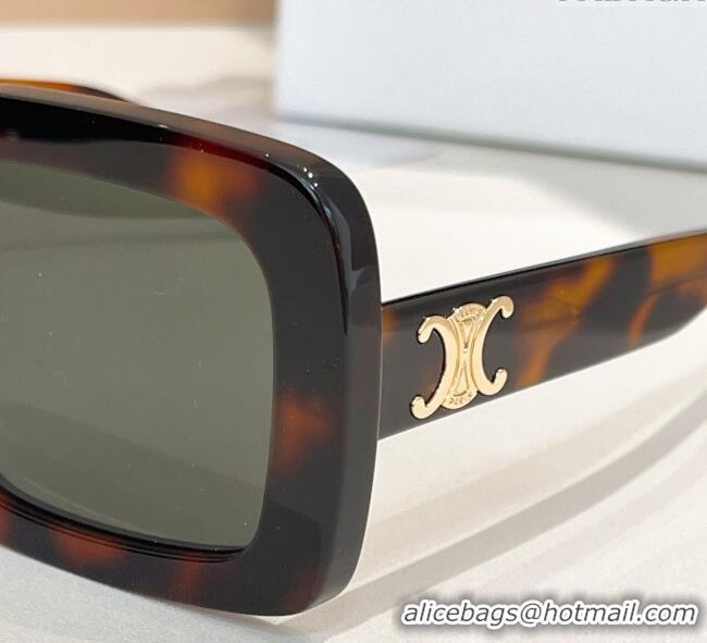 Super Quality Celine Sunglasses CL40304U Brown 2025