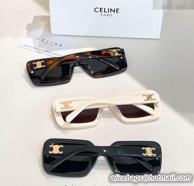 Super Quality Celine Sunglasses CL40304U Brown 2025