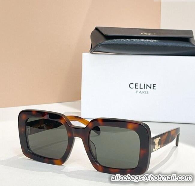 Super Quality Celine Sunglasses CL40304U Brown 2025