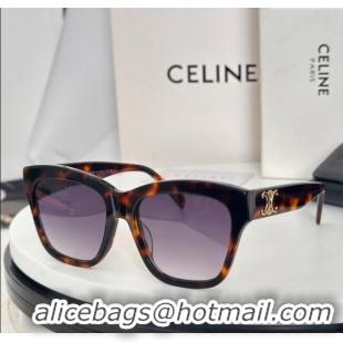Good Taste Celine Sunglasses CL40253F 2025