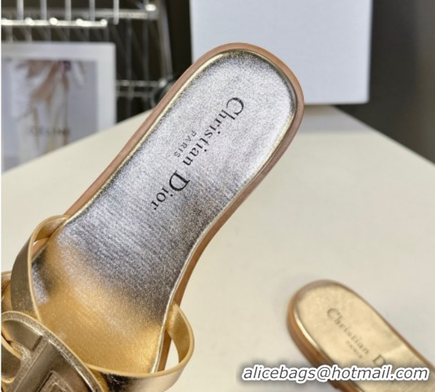 Best Price Dior D-Club Flat Slides Sandal in Calfskin Leather Gold 0605050