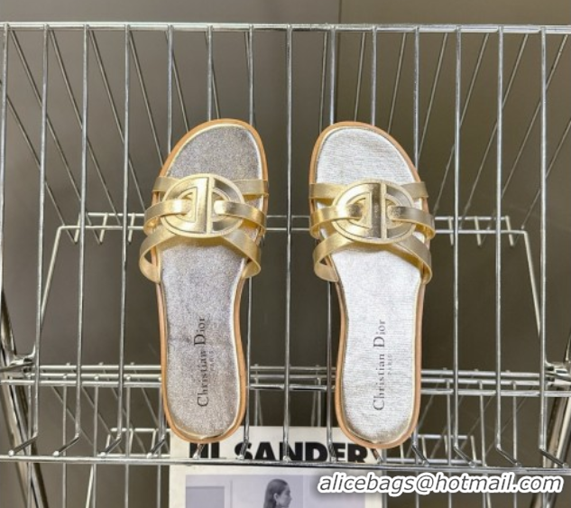 Best Price Dior D-Club Flat Slides Sandal in Calfskin Leather Gold 0605050