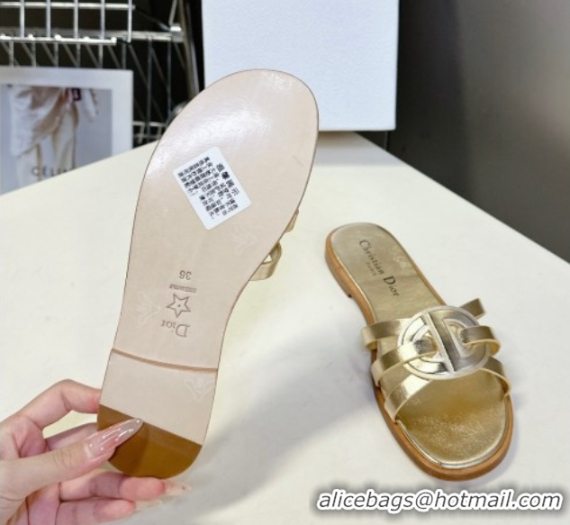 Best Price Dior D-Club Flat Slides Sandal in Calfskin Leather Gold 0605050