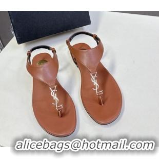 Perfect Saint Laurent Cassandre Flat Thong Sandals in Smooth Leather Brown 0424043
