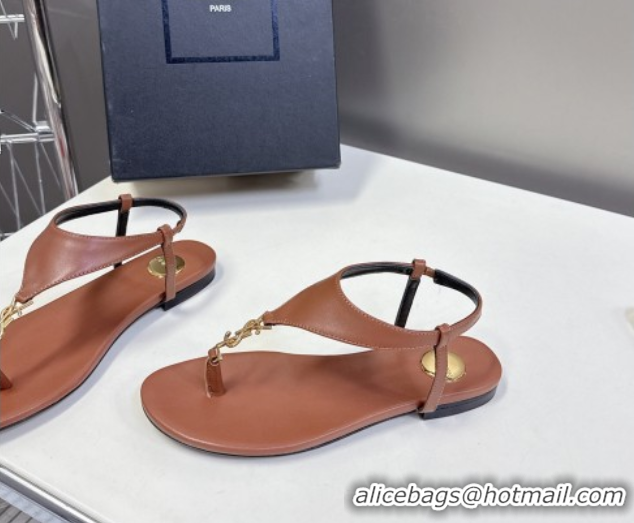 Perfect Saint Laurent Cassandre Flat Thong Sandals in Smooth Leather Brown 0424043