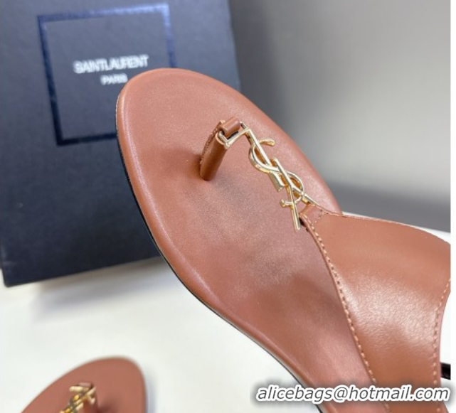 Perfect Saint Laurent Cassandre Flat Thong Sandals in Smooth Leather Brown 0424043