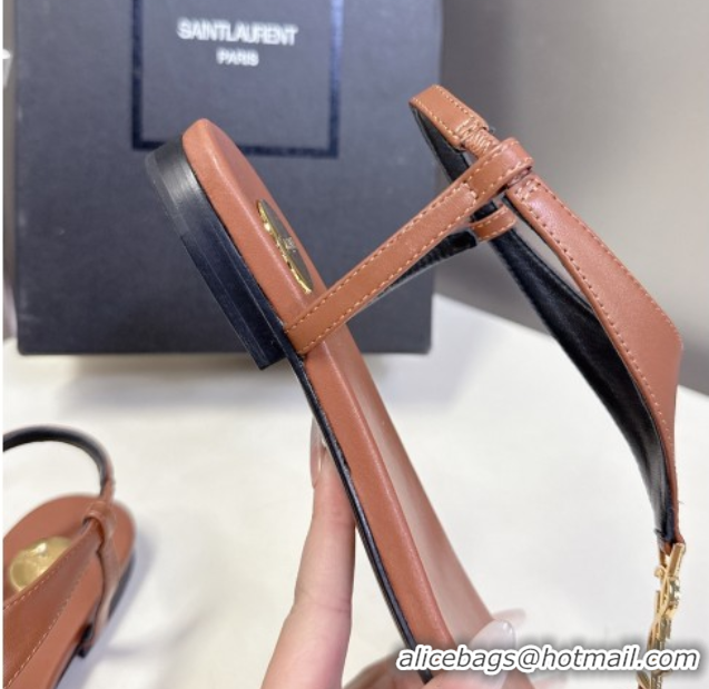 Perfect Saint Laurent Cassandre Flat Thong Sandals in Smooth Leather Brown 0424043