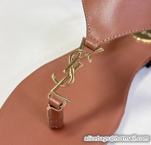 Perfect Saint Laurent Cassandre Flat Thong Sandals in Smooth Leather Brown 0424043