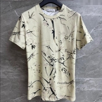 Top Grade Dior Printed Cotton T-Shirt 527003 Light Beige 2025