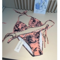 Famous Brand Dior Two-Pieces Swimwear and Skirt Set 3060 Pink 2025