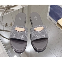 Unique Style Louis Vuitton Lily Flat Slides Sandal in Monogram Denim Grey 2025 1AGX78