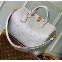 Famous Brand Louis V...