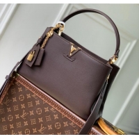 Promotional Louis Vu...