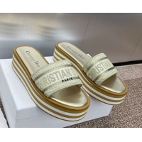 Stylish Dior Dway Striped Platform Slides Sandal 4cm in Embroidered Cotton Gold-Tone 0425070