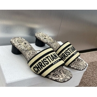 Pretty Style Dior Dway Heel Slides Sandal 4.5cm in Beige Raffia Straw with D-Butterfly Paisley Motif 0425081