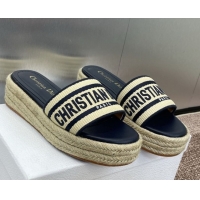 Big Discount Dior Dway Platform Slides Sandal 4cm in Raffia Straw and Embroidered Cotton Beige/Blue 0605017
