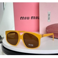 Free Shipping Discou...