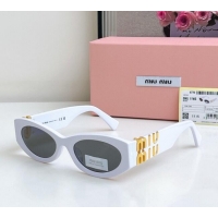 Well Crafted Miu Miu...