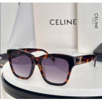 Good Taste Celine Su...