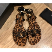 Grade Saint Laurent Babylone Sandals in Smooth Leather Eagle Brown 5052320