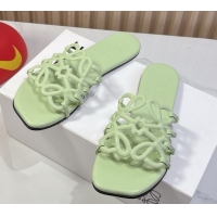 Good Quality Loewe Petal Anagram flat slides sandal in soft calfskin Light Green 0605083