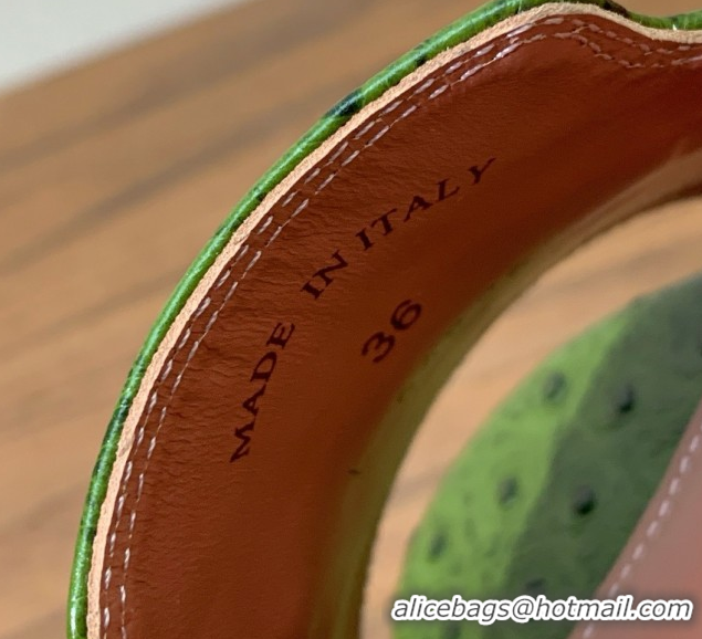 Grade Quality Loro Piana Summer Charms Sandal 5.5cm Heel in Ostrich Pattern Leather LP62308 Green