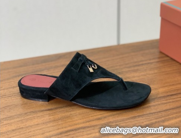 Low Cost Loro Piana Flip-flops Sandal in Suede LP62330 Black