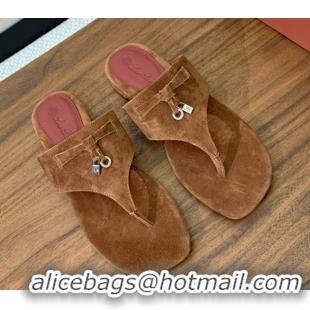Buy Discount Loro Piana Flip-flops Sandal in Suede LP62334 Brown