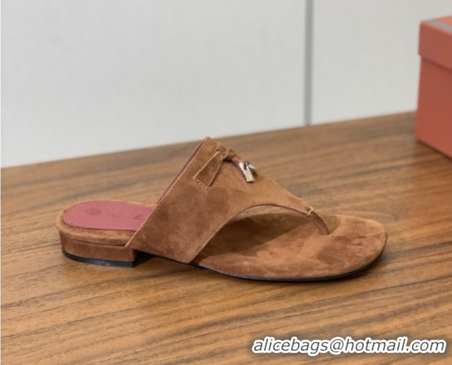 Buy Discount Loro Piana Flip-flops Sandal in Suede LP62334 Brown