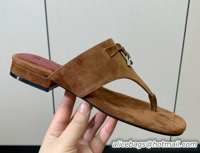Buy Discount Loro Piana Flip-flops Sandal in Suede LP62334 Brown