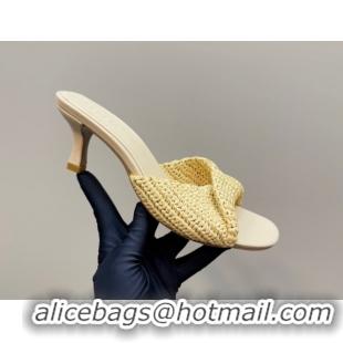 Luxury Bottega Veneta Blink Mid Heel Slides Sandal 6.5cm in Crochet Raffia Straw Beige 0428080