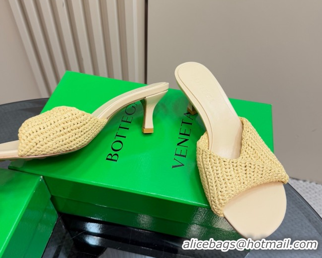 Luxury Bottega Veneta Blink Mid Heel Slides Sandal 6.5cm in Crochet Raffia Straw Beige 0428080