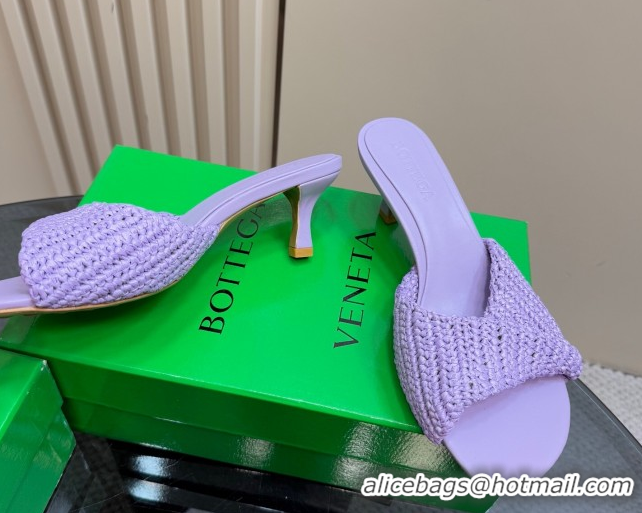 Trendy Design Bottega Veneta Blink Mid Heel Slides Sandal 6.5cm in Crochet Raffia Straw Purple 0428084