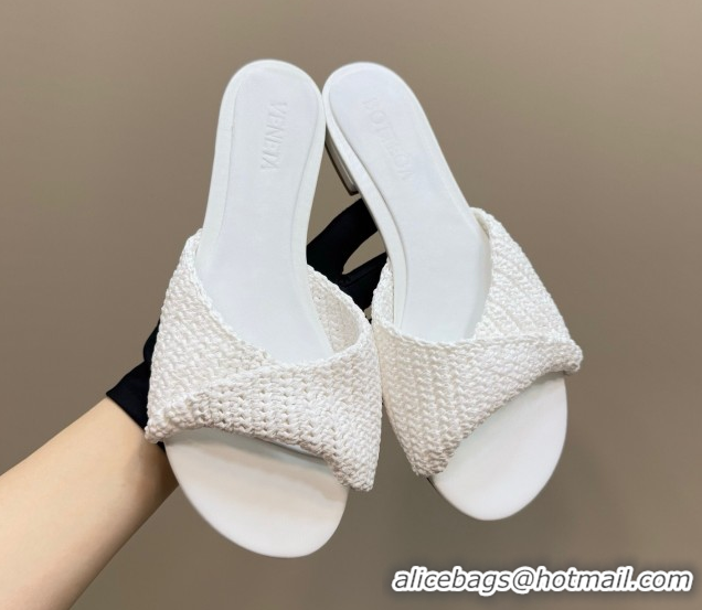 Classic Hot Bottega Veneta Blink Flat Slides Sandal in Crochet Raffia Straw White 0428091