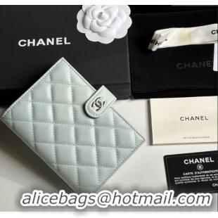 Cheapest Chanel Grained Calfskin Passport Cover A3658 Pale Green/Silver 2025